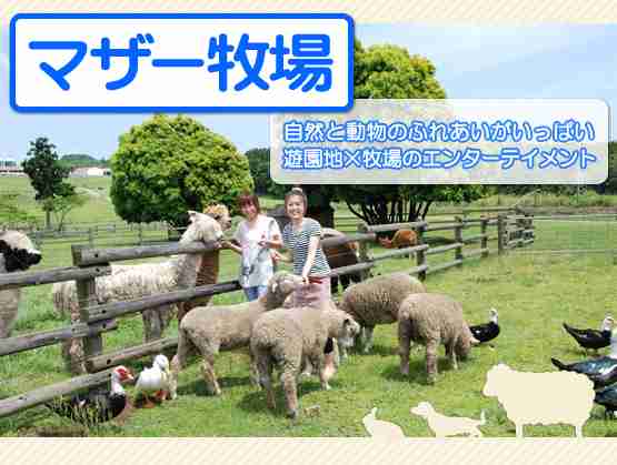 千葉県民の集い