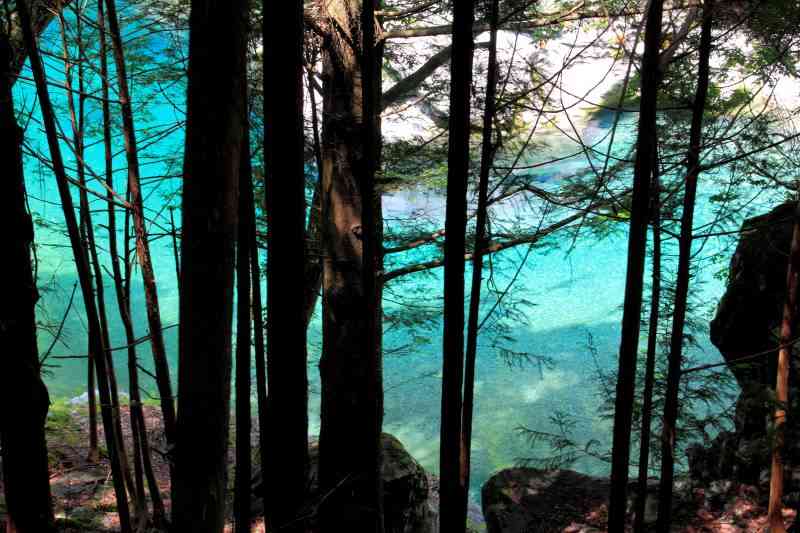 国内で綺麗な川