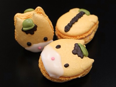 可愛い、綺麗なお菓子の画像