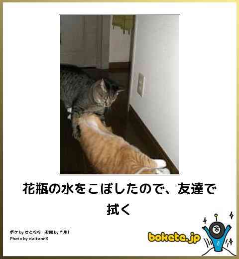 動物のボケて貼って下さい