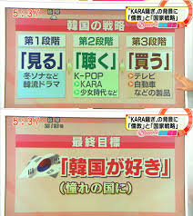 実は韓流ドラマにはまってる方！