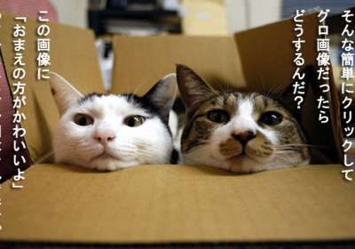 ちょっとだけ面白い画像やコピペが集まるトピ