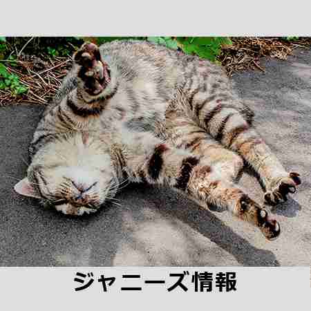 「小ネタ多すぎ」「トリックが単純」、松本潤「99.9」がどんどん薄っぺらい内容に… | アサ芸プラス