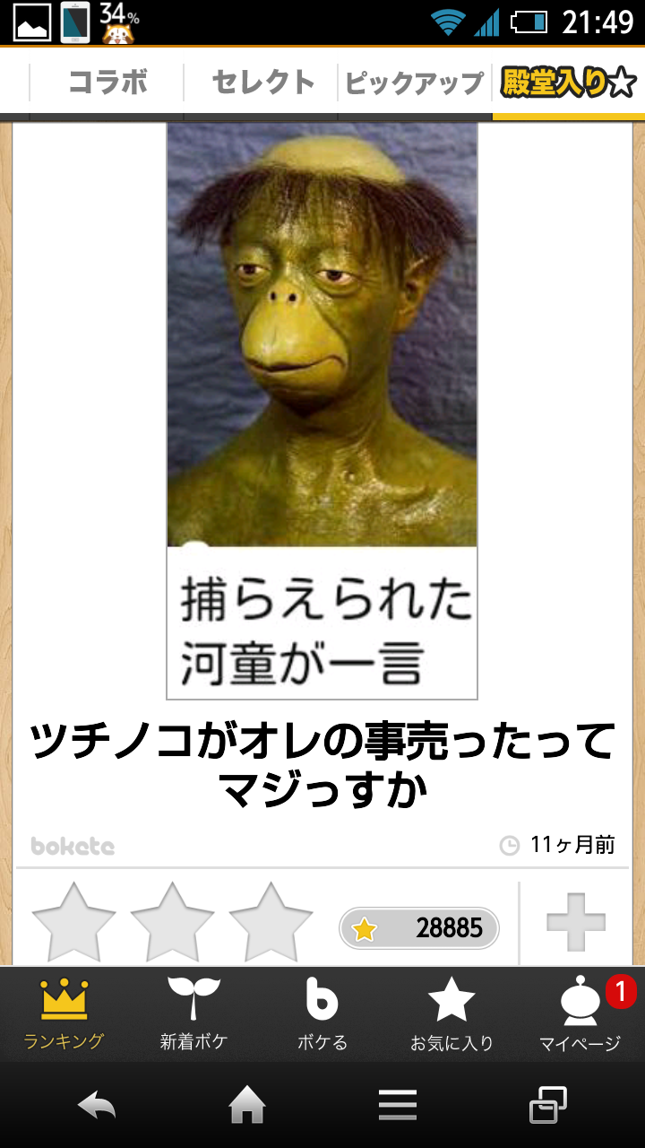動物のボケて貼って下さい