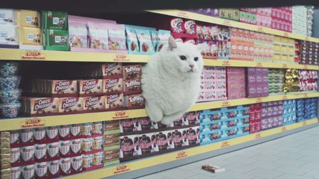 おデブで可愛らしい動物画像