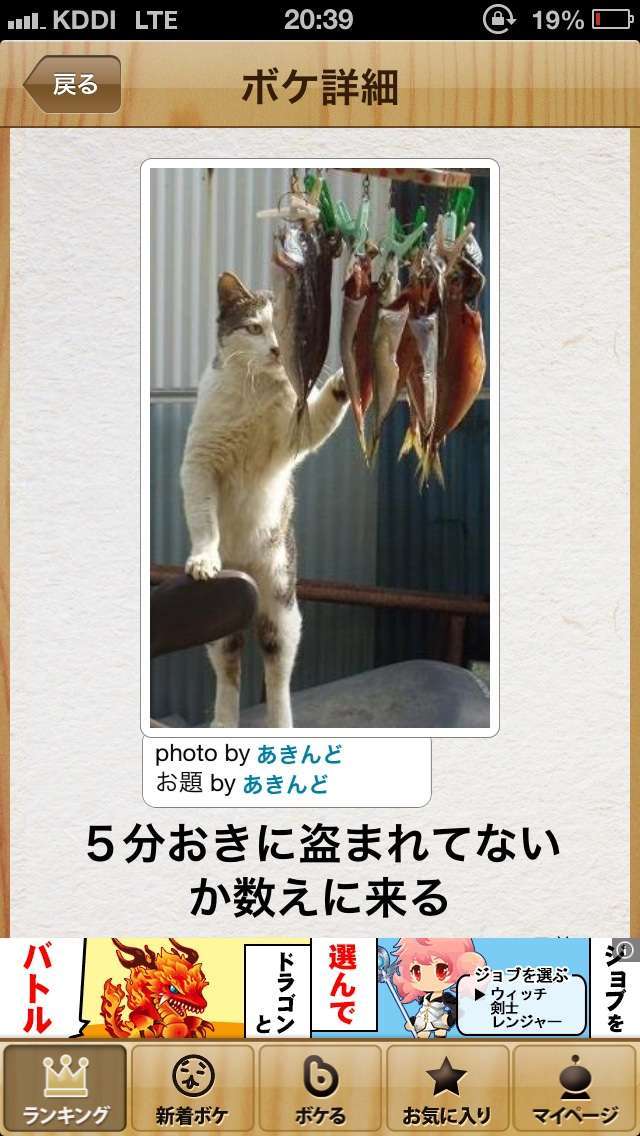 動物のボケて貼って下さい