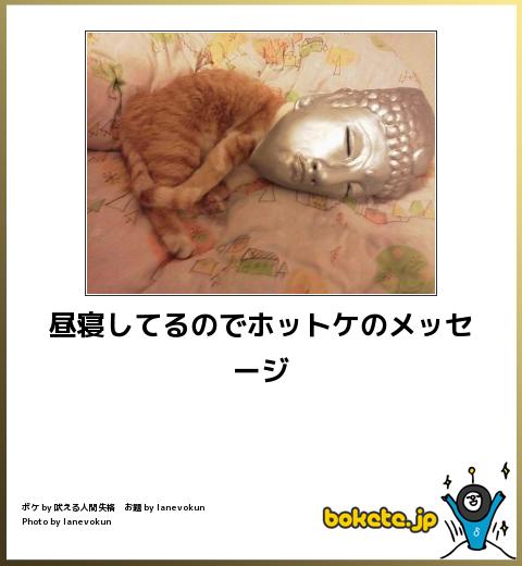 動物のボケて貼って下さい