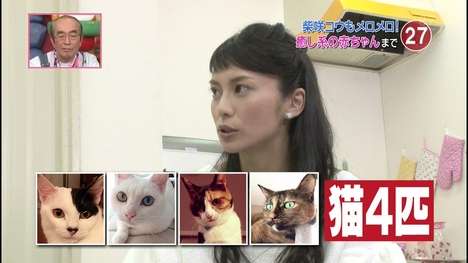 2位 桐谷美玲！「猫っぽい女性有名人ランキング」