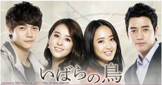 実は韓流ドラマにはまってる方!