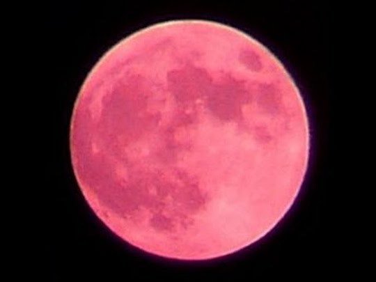 今夜は「ストロベリー・ムーン」が見えるかも！　幸運のシンボルを観察しよう | sorae.jp : 宇宙（そら）へのポータルサイト