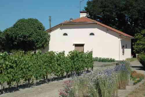 顔に見えちゃう画像（心霊モノは除く）