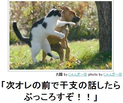 動物のボケて貼って下さい