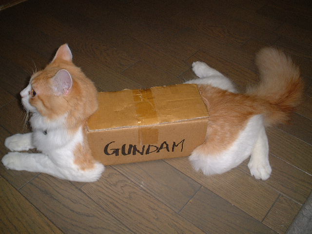 【画像】はまりまくる動物たち