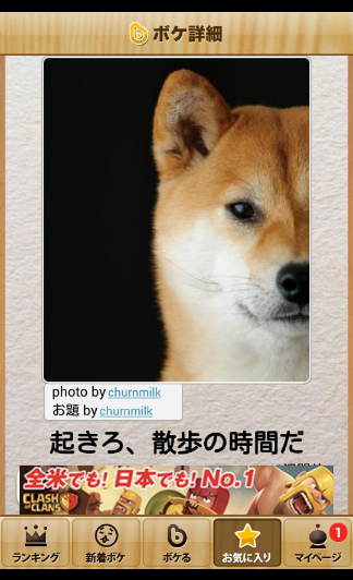 動物のボケて貼って下さい