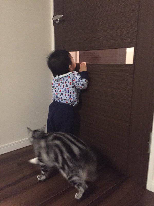 犬と猫どちらも好きな人が集まるトピ♡