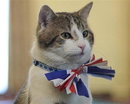 英国民投票「EU離脱多数が確実」英BBC報道
