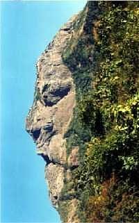 顔に見えちゃう画像（心霊モノは除く）