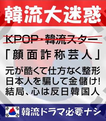 実は韓流ドラマにはまってる方！