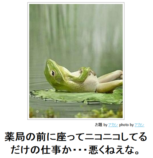 動物のボケて貼って下さい