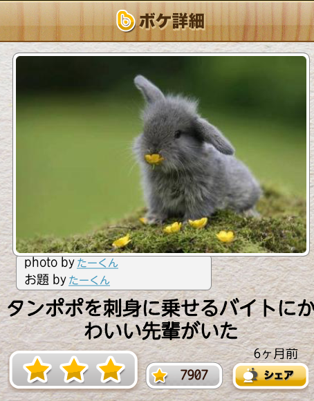動物のボケて貼って下さい