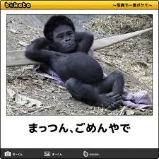 すぐバレる嘘をつく人