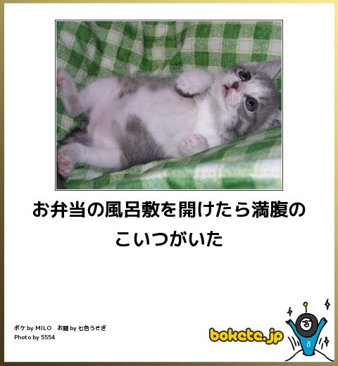 動物のボケて貼って下さい
