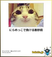 動物のボケて貼って下さい