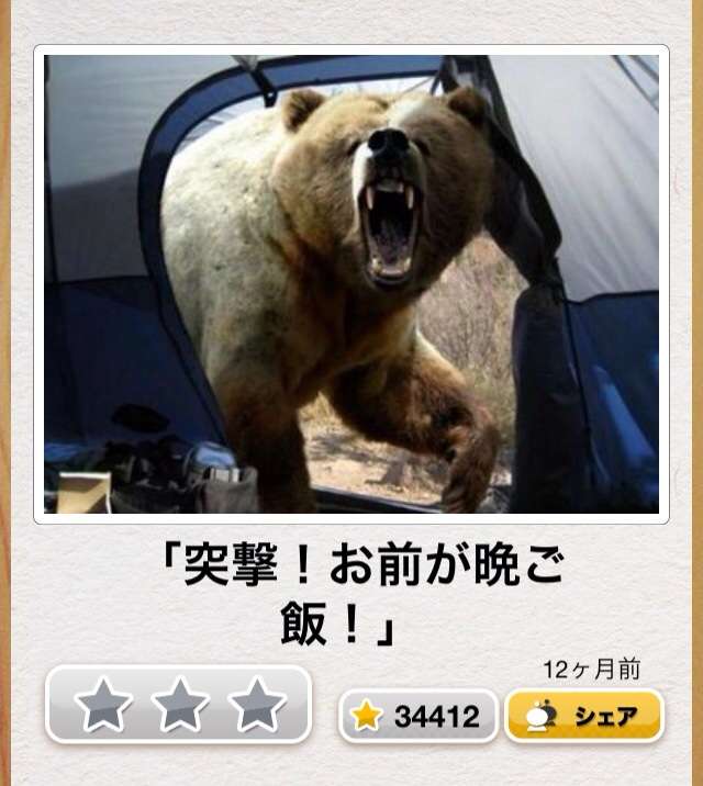 動物のボケて貼って下さい
