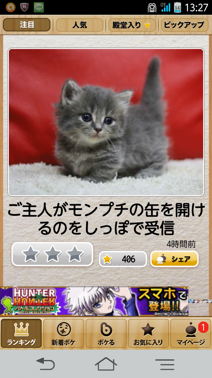 動物のボケて貼って下さい