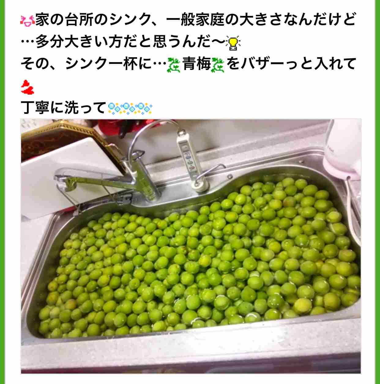 北斗晶が圧倒的1位 ママたちが憧れるママタレントとその理由 ガールズちゃんねる Girls Channel