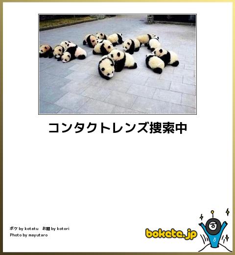 動物のボケて貼って下さい