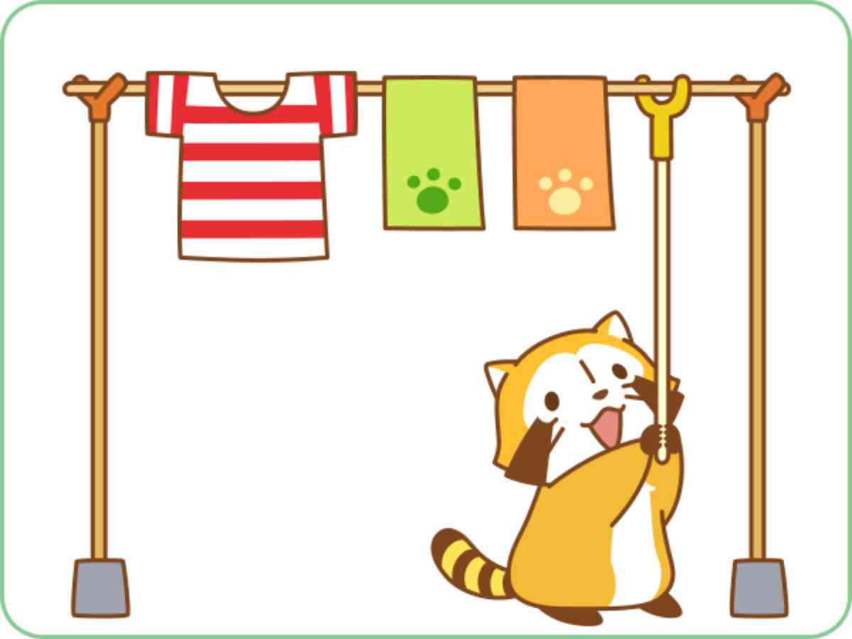 【画像】アライグマの画像が集まるトピ