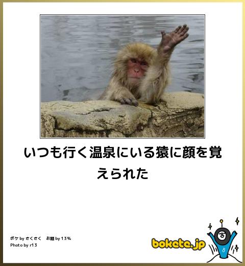 動物のボケて貼って下さい