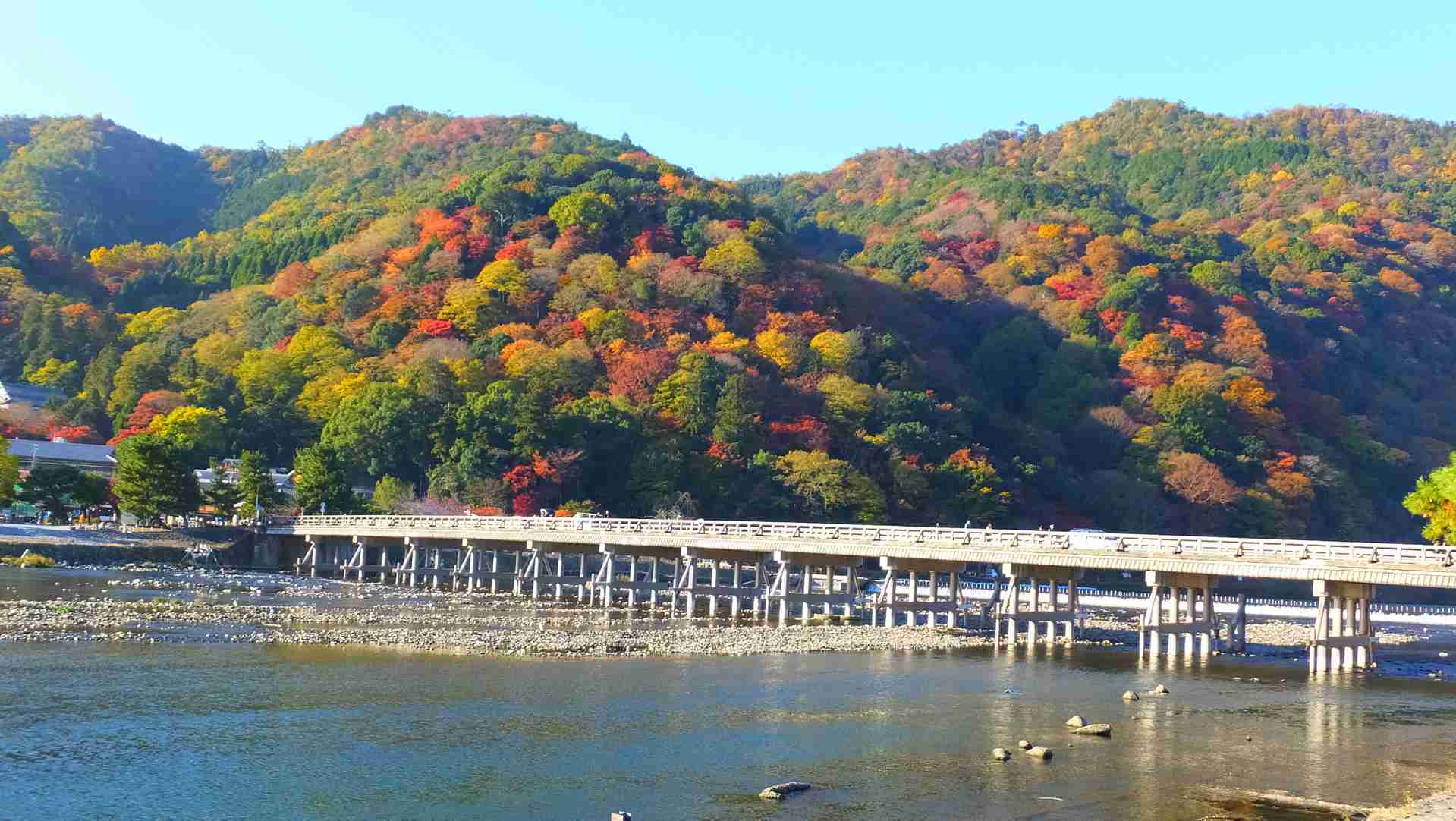 素敵な橋の画像