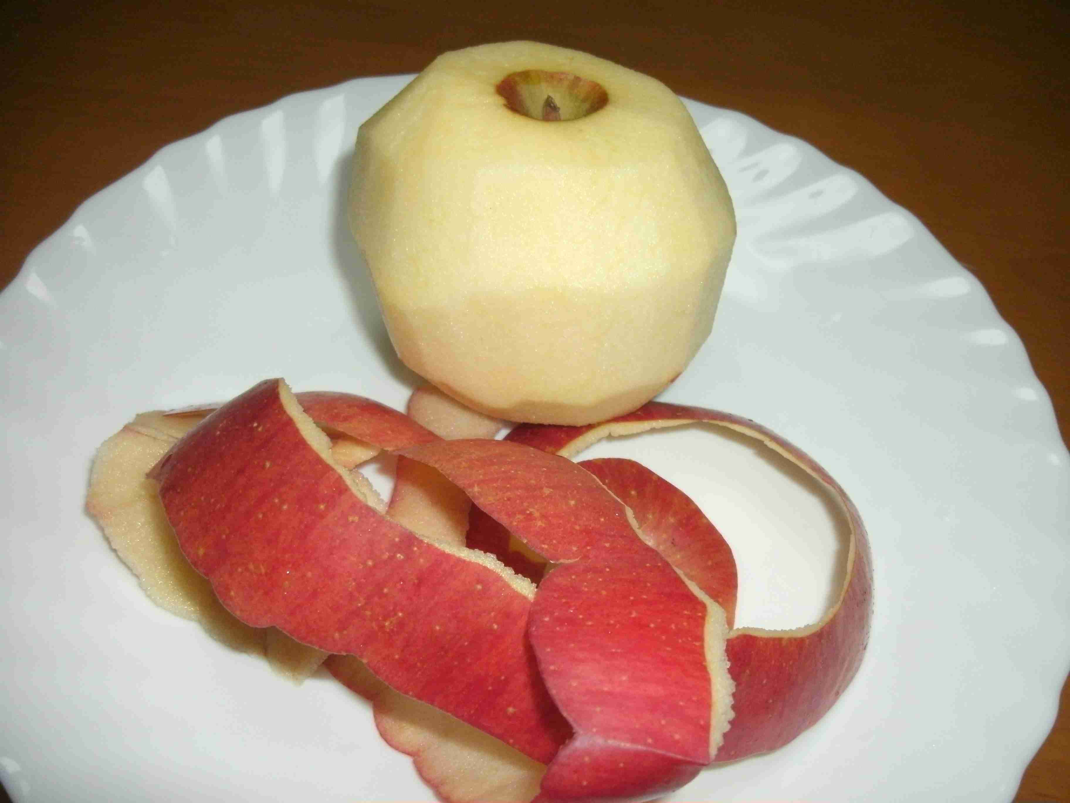 夏場の生ゴミ