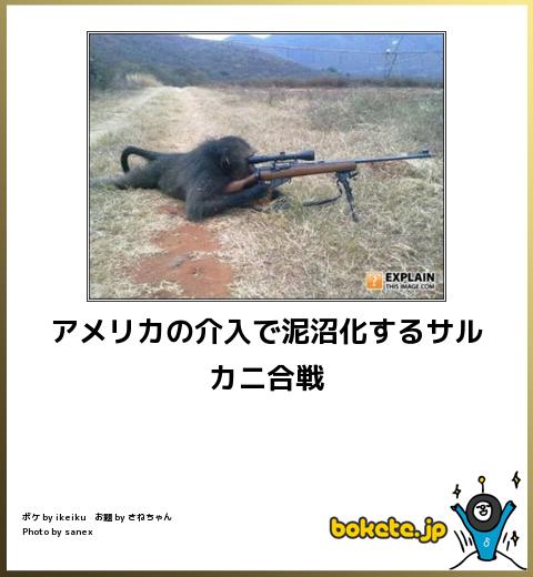 動物のボケて貼って下さい