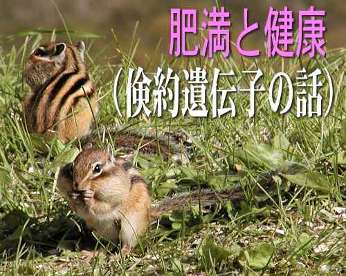 肥満と健康（倹約遺伝子の話）