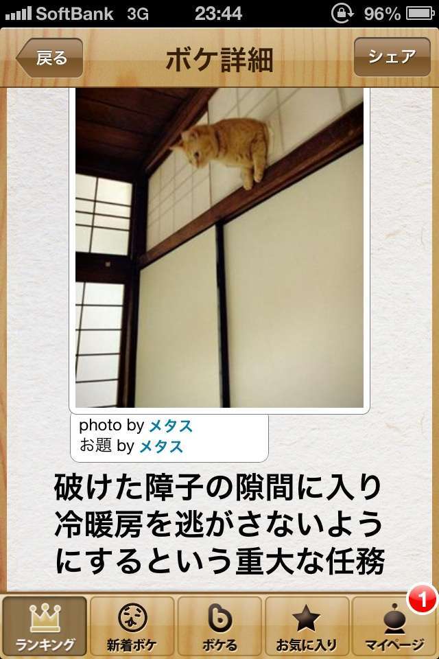 動物のボケて貼って下さい