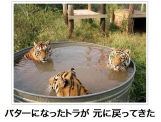 動物のボケて貼って下さい