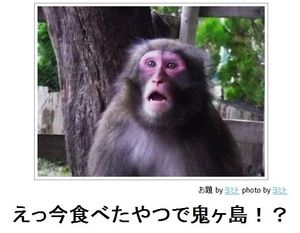 動物のボケて貼って下さい