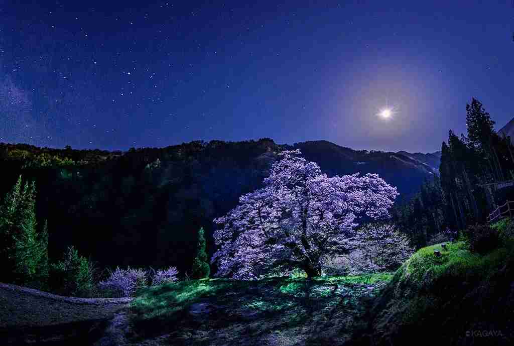 誰かに「月が綺麗ですね」と送ってみるトピ