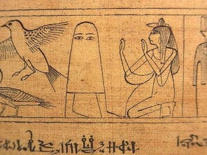 顔に見えちゃう画像（心霊モノは除く）