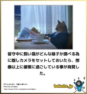 動物のボケて貼って下さい