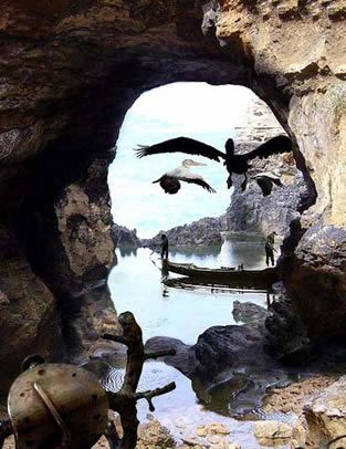 顔に見えちゃう画像（心霊モノは除く）