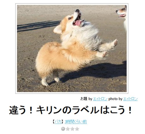 動物のボケて貼って下さい