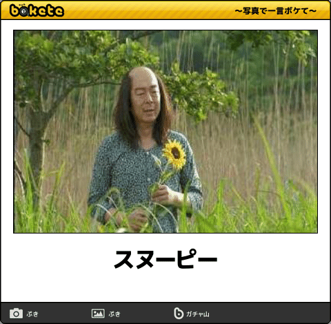 動物のボケて貼って下さい