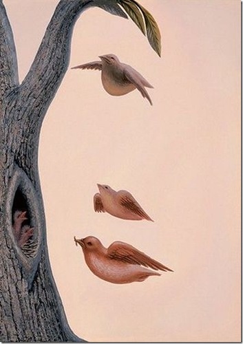 顔に見えちゃう画像（心霊モノは除く）