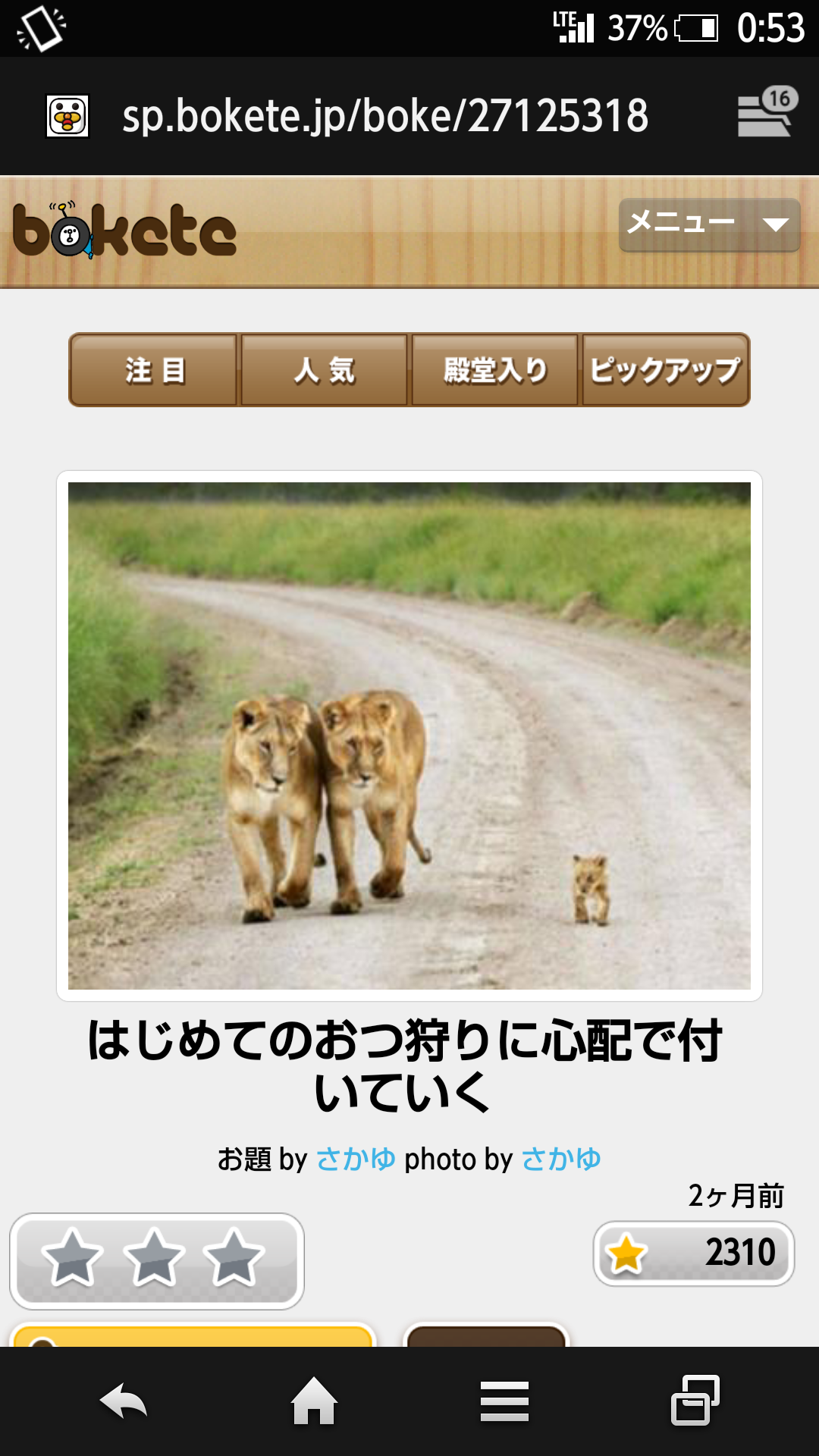 動物のボケて貼って下さい