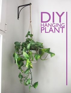 観葉植物やお花に癒されてる人
