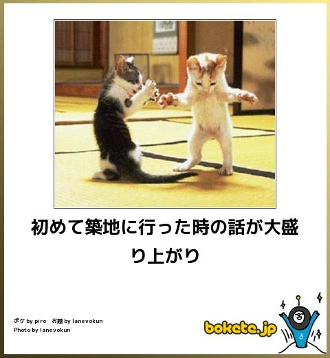 動物のボケて貼って下さい